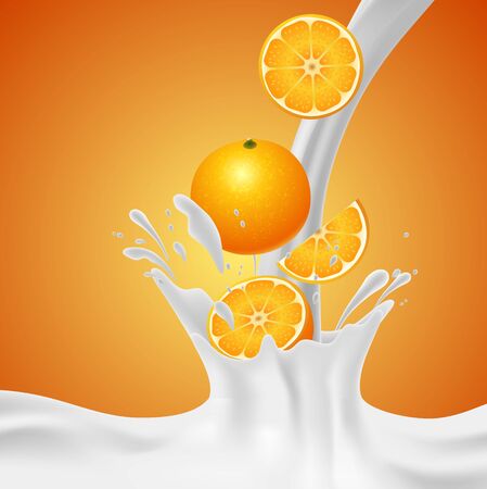 Orange falling into the milky splash. Vector illustrationのイラスト素材