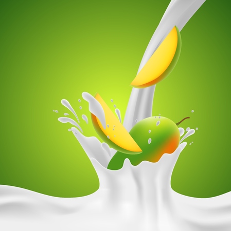 Mango falling into the milky splash. Vector illustrationのイラスト素材