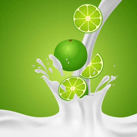 Lime falling into the milky splash. Vector illustrationのイラスト素材
