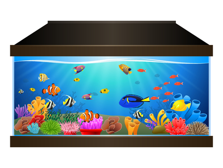 Aquarium with fish and corals. Marine aquarium. Vector illustrationのイラスト素材