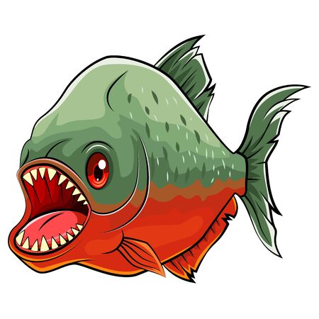 Piranha fish isolated on white backgroundのイラスト素材