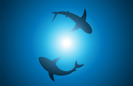 Shark silhouette on a blue background. Vector illustration for your designのイラスト素材