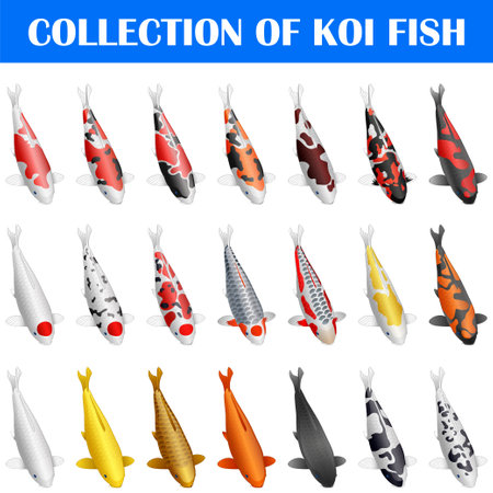 Koi fish icon set. Cartoon set of koi fish icons for web design. Vector illustration.のイラスト素材