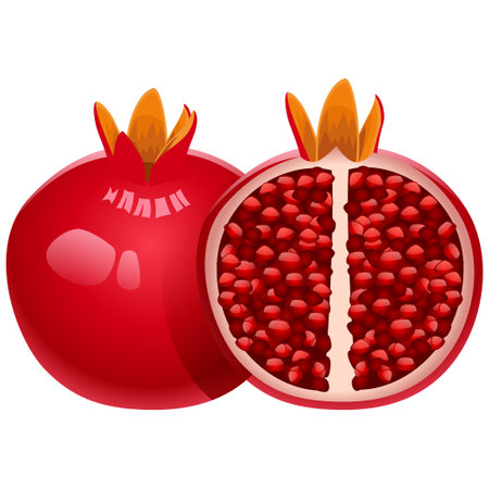 Illustration of a green apple and a cut apple on a white backgroundのイラスト素材