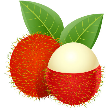 Lemon on a white background. Vector illustration. Eps 10.のイラスト素材