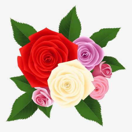 Rose bouquet with red, white and yellow roses. Vector illustration.のイラスト素材