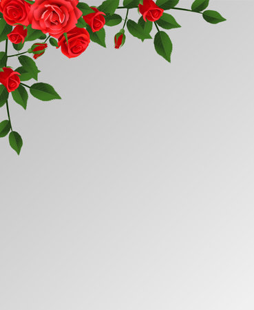 Background with red roses and place for your text. Vector illustration.のイラスト素材