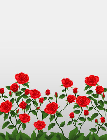 Illustration of red roses on a white background with space for textのイラスト素材