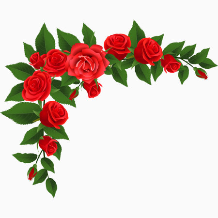 Frame with red roses on a white background. Vector illustration for your design.のイラスト素材