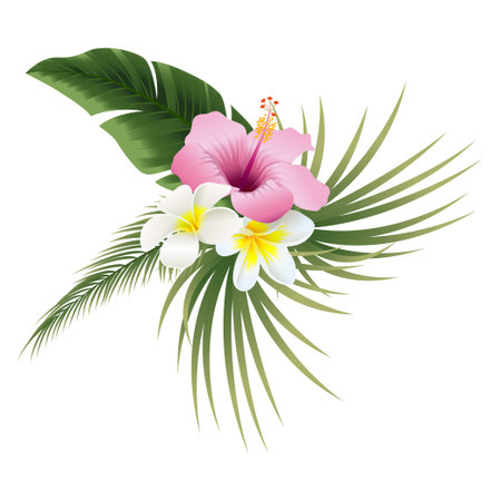Tropical flowers and leaves on white background. Vector illustration.のイラスト素材