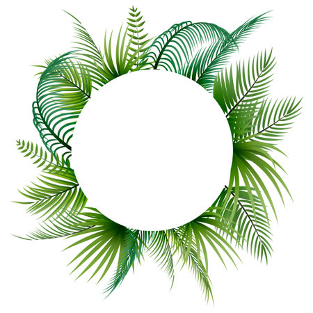 Round frame with tropical palm leaves on white background. Vector illustration.のイラスト素材