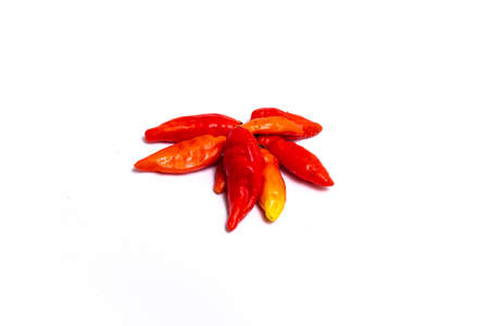 Red chili pepper isolated on a white backgroundの写真素材