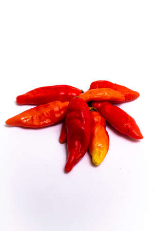 Red chili pepper isolated on a white backgroundの写真素材