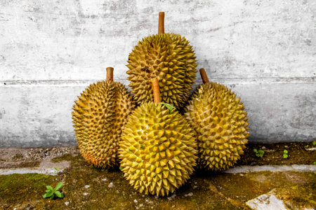 Local Indonesian durian is delicious and contains various vitamins and minerals, providing a...