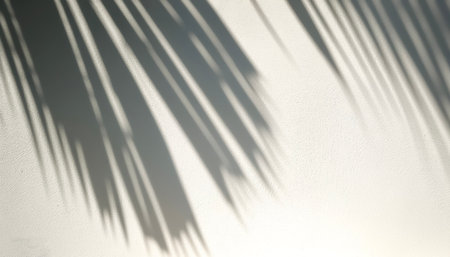 the shadow of coconut leaves on the white wallの写真素材