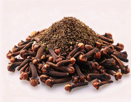 a lots clove plant isolated on white background.