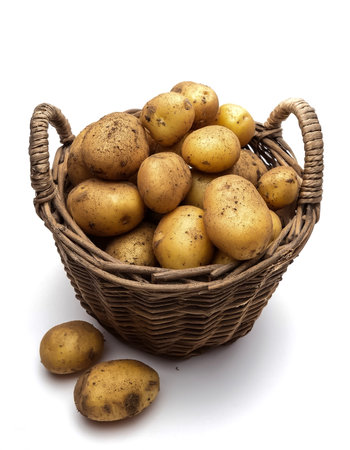 a basket of freshly picked potatoes still covered in dirt isolated on white backgroundの写真素材