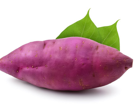 Purple sweet yam isolated on white backgroundの写真素材