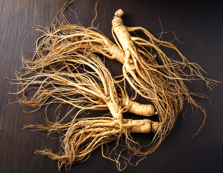 Lots of ginseng. ginseng Background Conceptの写真素材
