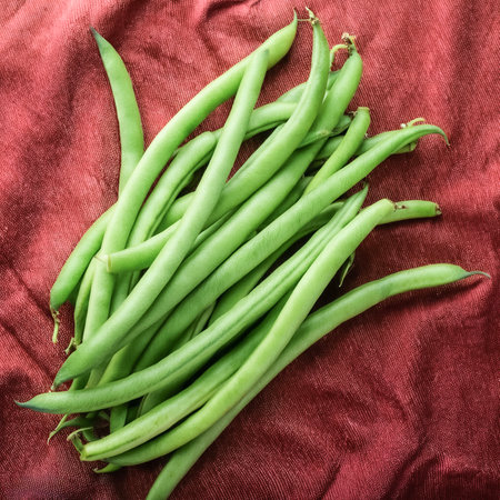 Close up Lots of green beans. green beans fresh vegetable background concept.