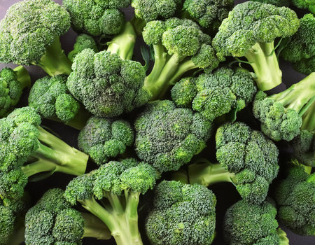 Lots of broccoli. Broccoli Background Concept. from the top viewの写真素材