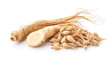 ginseng isolated on white backgroundの写真素材