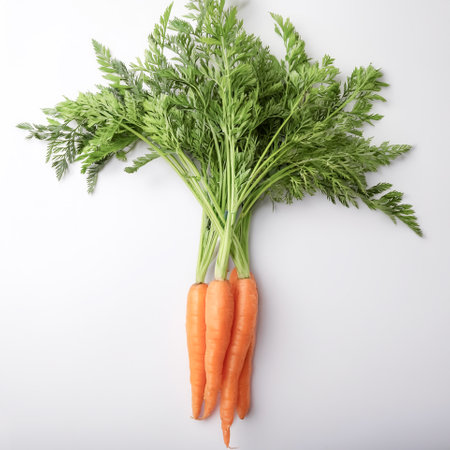 A Fresh Carrot on white backgroundの写真素材