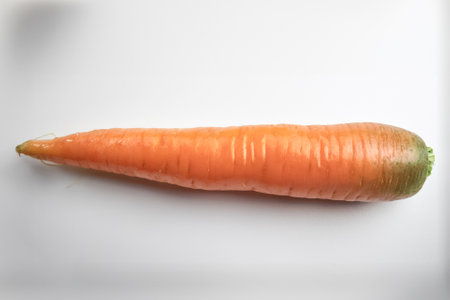 A Fresh Carrot on white backgroundの写真素材