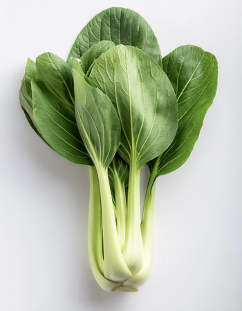 A Fresh Bok Choy on a white backgroundの写真素材