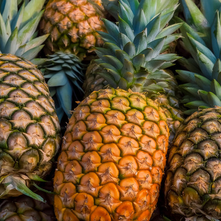 photoÂ close up a pile Pineapple fruit fresh, organic.Â pattern texture background.の写真素材