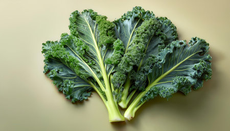 Kale vegetables, isolated on a Pastelの写真素材
