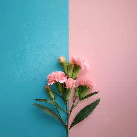 clove plant, isolated on a soft blue and Pink Pastelの写真素材