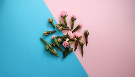 clove plant, isolated on a soft blue and Pink Pastelの写真素材