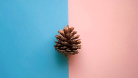 pine cone, isolated on a soft blue and Pink Pastelの写真素材