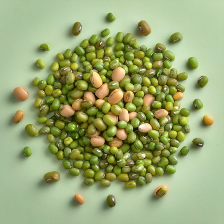 Mung beans vegetables, isolated on a pastelの写真素材