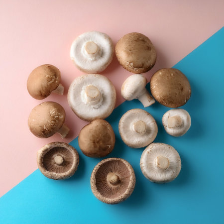 Shiitake and portobello mushrooms lie, isolated on a soft blue and Pink Pastelの写真素材