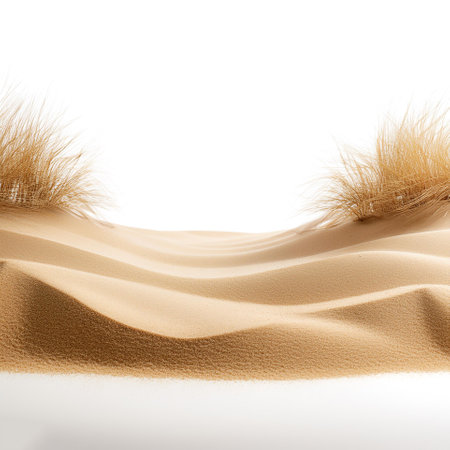 sand border isolated on white background with copy spaceの写真素材