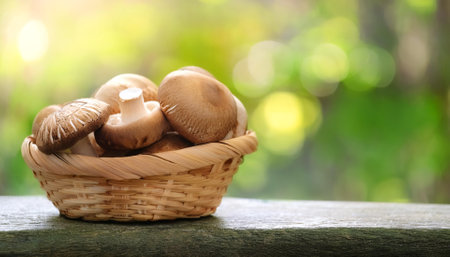 Shiitake and portobello mushrooms in Bamboo basket with blur green bokeh backgroundの写真素材