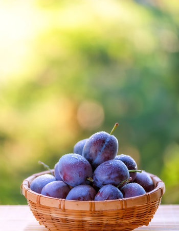 Plum Fruit in Bamboo basket with blur green bokeh background.の写真素材