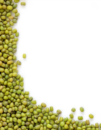 mung beans border isolated on white background with copy spaceの写真素材