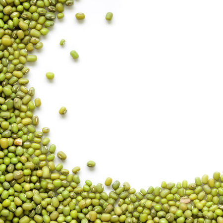 mung beans border isolated on white background with copy spaceの写真素材