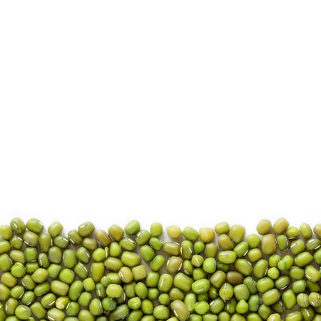 mung beans border isolated on white background with copy spaceの写真素材