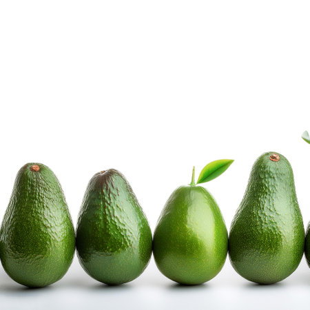 Avocado fruit border isolated on white background with copy spaceの写真素材