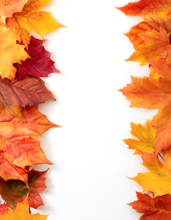 autumn leaves border isolated on white background with copy space