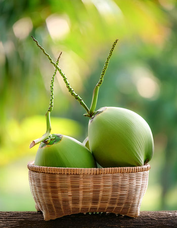 Green young coconut fruit in Bamboo basket with blur green bokeh backgroundの写真素材