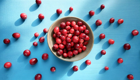 Cranberry Fruit, isolated on a pastel blueの写真素材