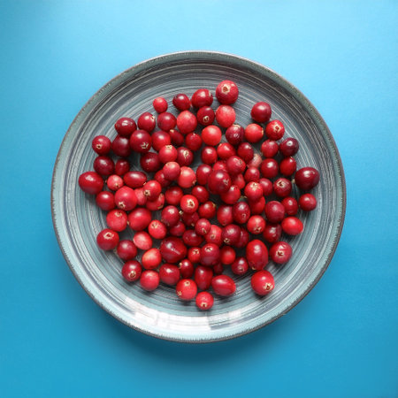 Cranberry Fruit, isolated on a pastel blueの写真素材