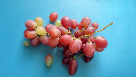 Grape fruit, isolated on a pastel blue