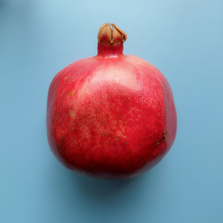 Pomegranate, isolated on a pastel blueの写真素材
