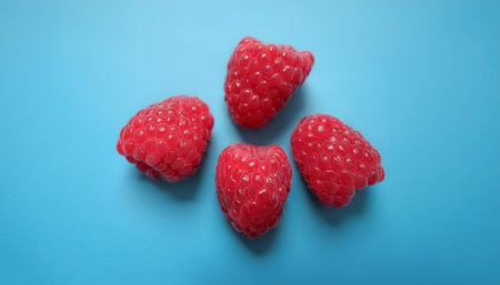 Raspberry, isolated on a pastel blueの写真素材